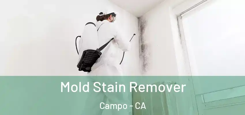  Mold Stain Remover Campo - CA