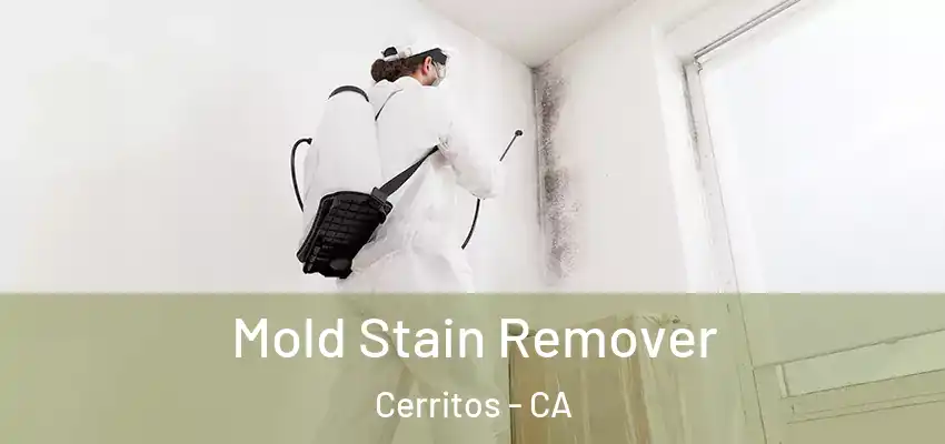 Mold Stain Remover Cerritos - CA