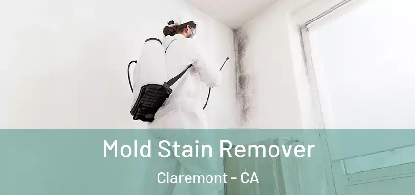 Mold Stain Remover Claremont - CA