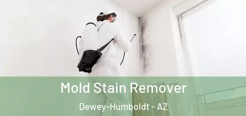  Mold Stain Remover Dewey-Humboldt - AZ