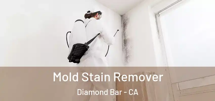 Mold Stain Remover Diamond Bar - CA