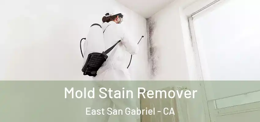  Mold Stain Remover East San Gabriel - CA