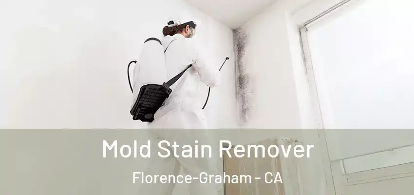 Mold Stain Remover Florence-Graham - CA