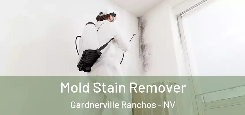  Mold Stain Remover Gardnerville Ranchos - NV