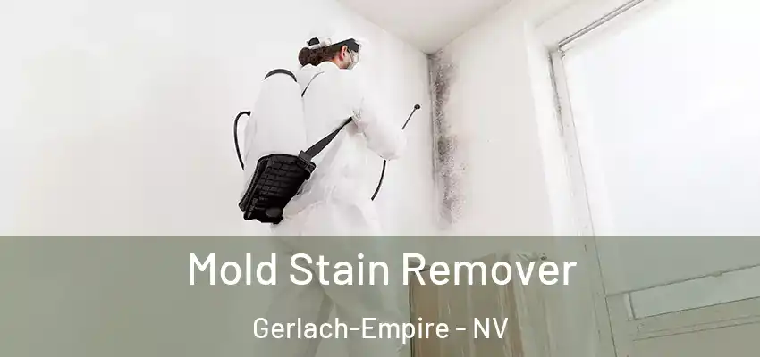  Mold Stain Remover Gerlach-Empire - NV
