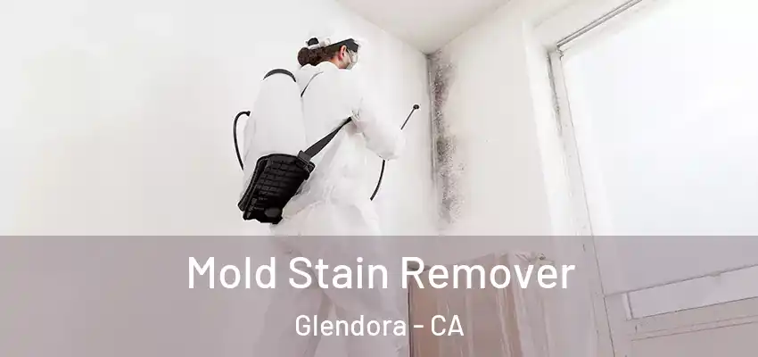  Mold Stain Remover Glendora - CA