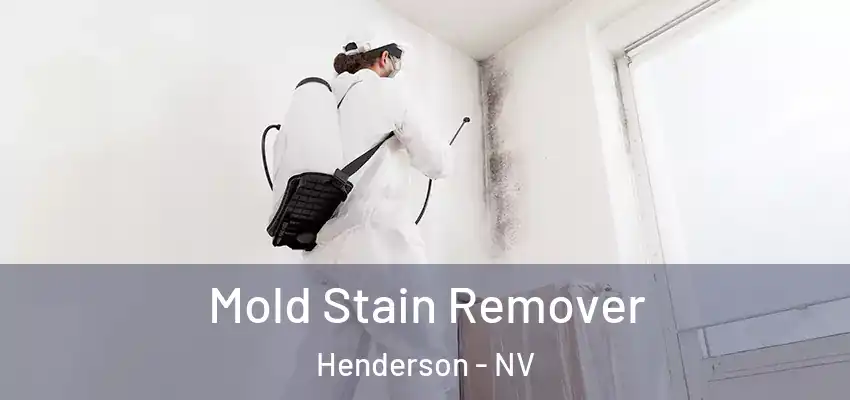  Mold Stain Remover Henderson - NV