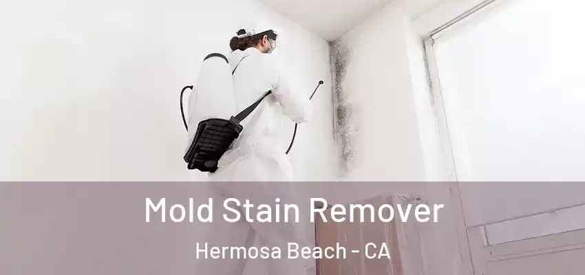  Mold Stain Remover Hermosa Beach - CA