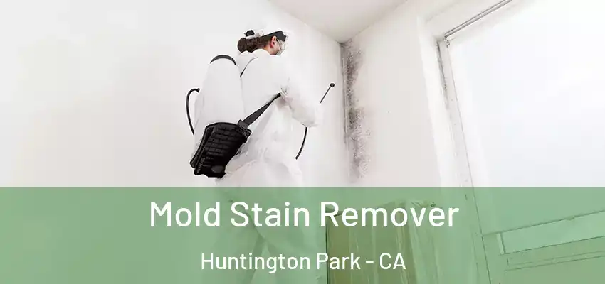  Mold Stain Remover Huntington Park - CA