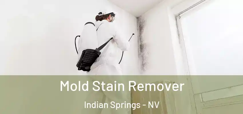  Mold Stain Remover Indian Springs - NV
