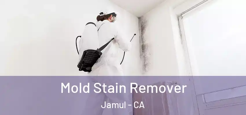 Mold Stain Remover Jamul - CA