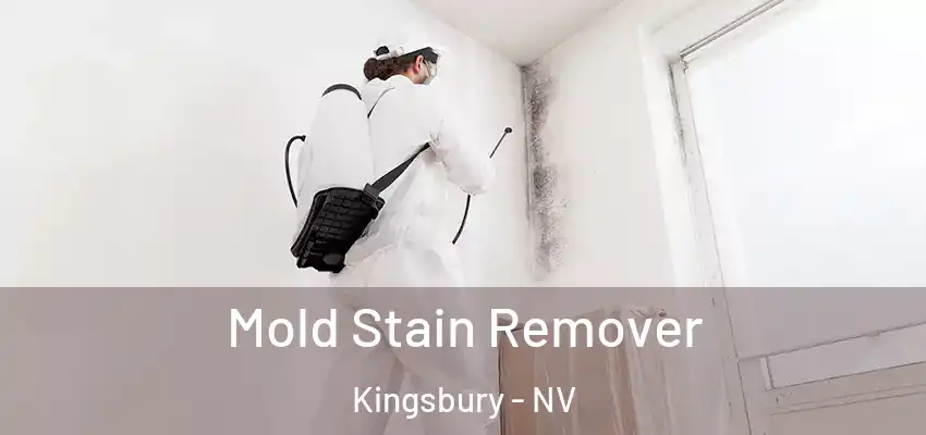  Mold Stain Remover Kingsbury - NV