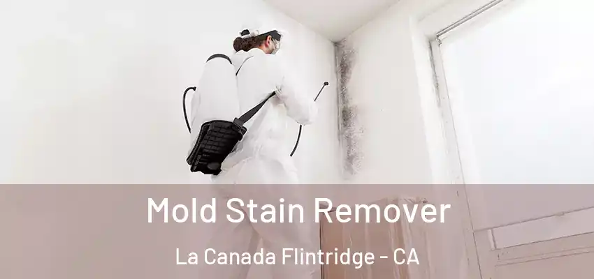  Mold Stain Remover La Canada Flintridge - CA