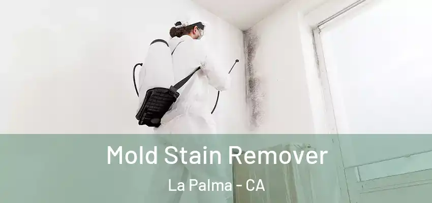  Mold Stain Remover La Palma - CA