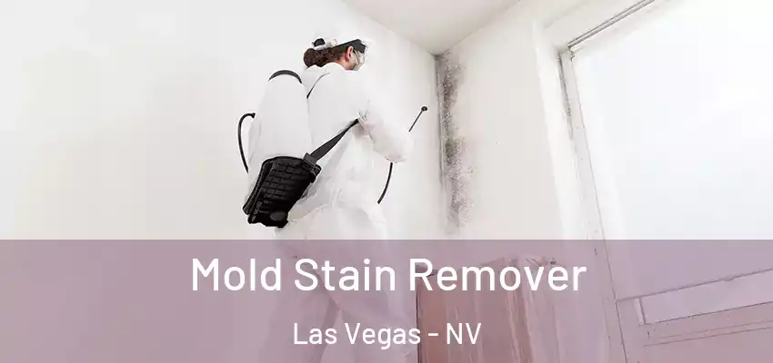  Mold Stain Remover Las Vegas - NV