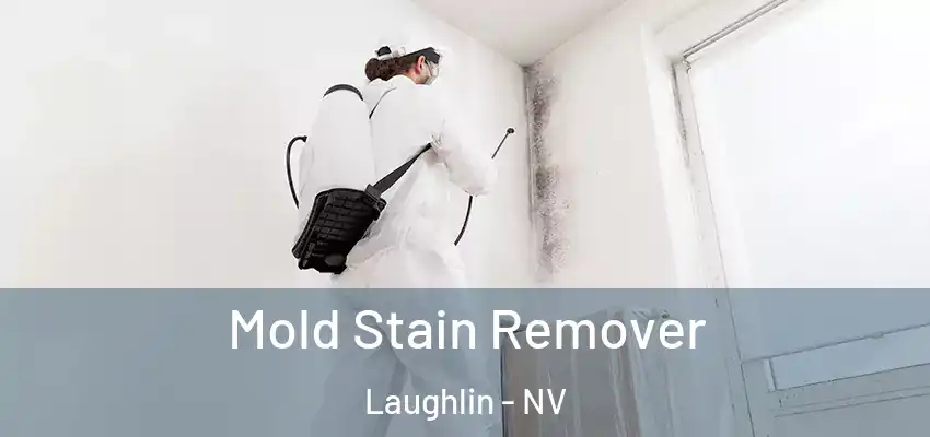  Mold Stain Remover Laughlin - NV