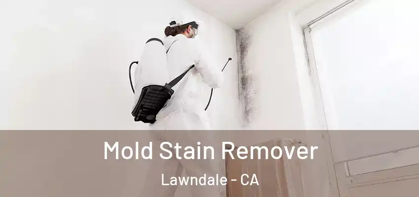  Mold Stain Remover Lawndale - CA