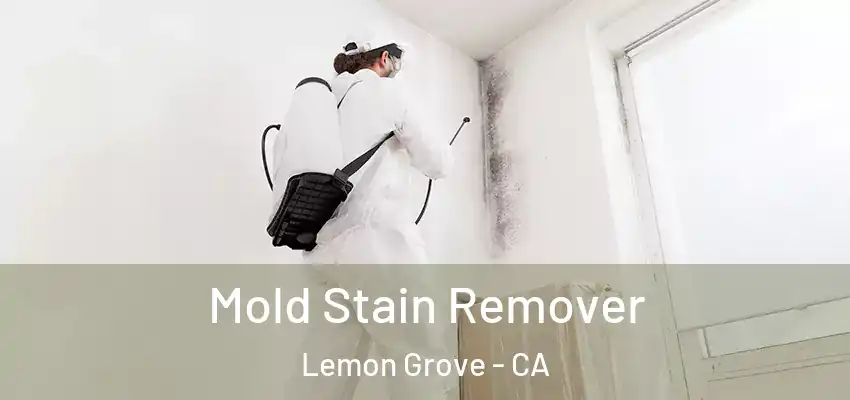  Mold Stain Remover Lemon Grove - CA