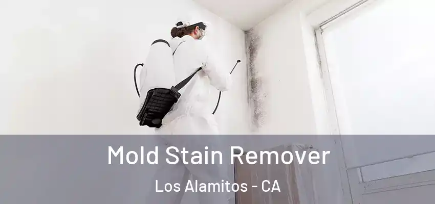  Mold Stain Remover Los Alamitos - CA