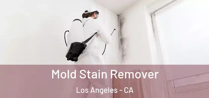 Mold Stain Remover Los Angeles - CA