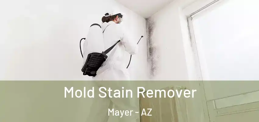  Mold Stain Remover Mayer - AZ