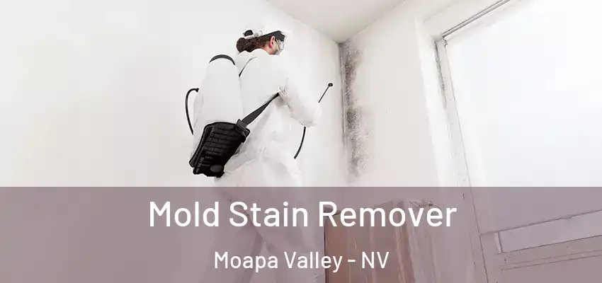  Mold Stain Remover Moapa Valley - NV