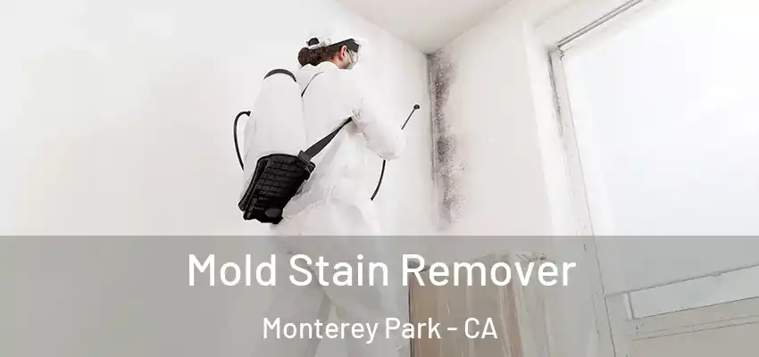  Mold Stain Remover Monterey Park - CA