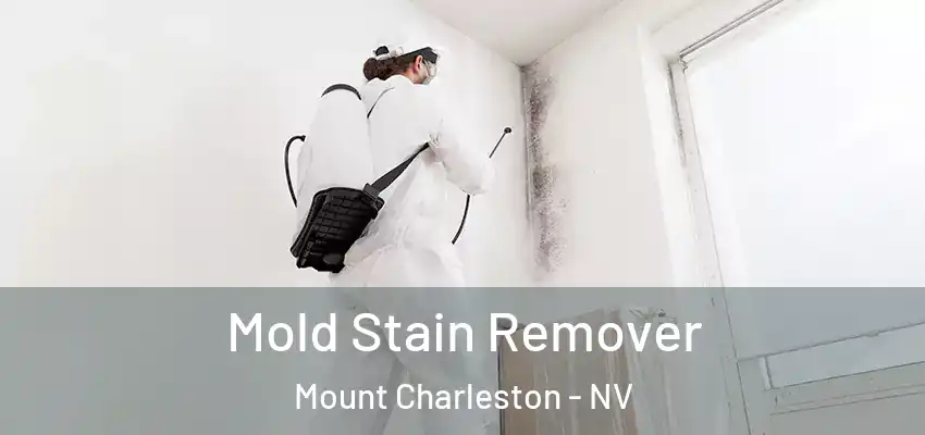  Mold Stain Remover Mount Charleston - NV