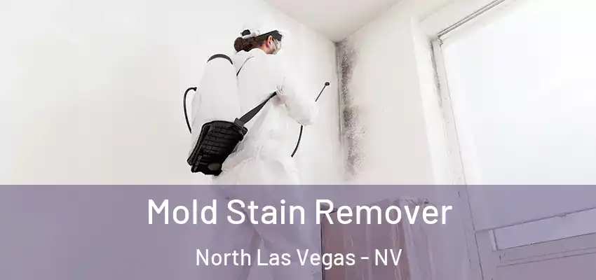  Mold Stain Remover North Las Vegas - NV