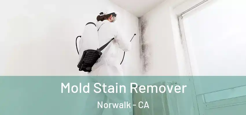  Mold Stain Remover Norwalk - CA