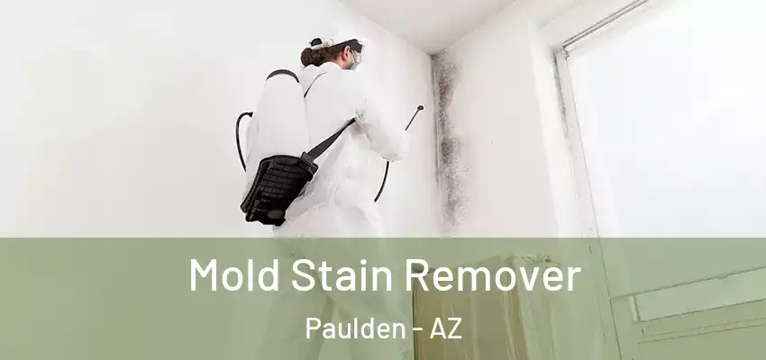  Mold Stain Remover Paulden - AZ