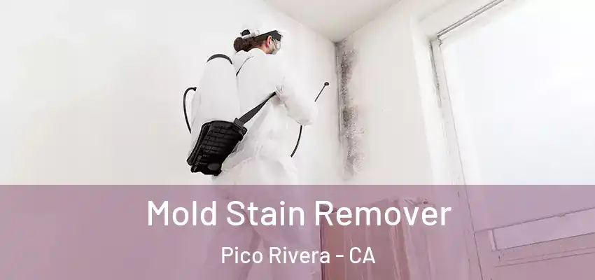  Mold Stain Remover Pico Rivera - CA