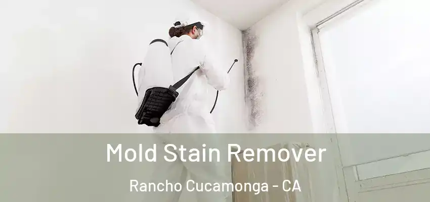  Mold Stain Remover Rancho Cucamonga - CA
