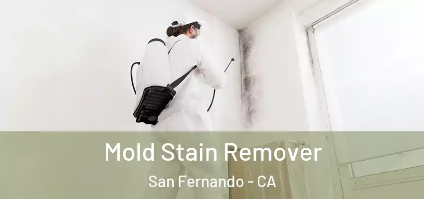  Mold Stain Remover San Fernando - CA