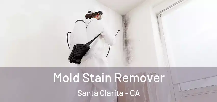  Mold Stain Remover Santa Clarita - CA