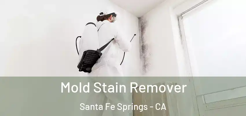 Mold Stain Remover Santa Fe Springs - CA