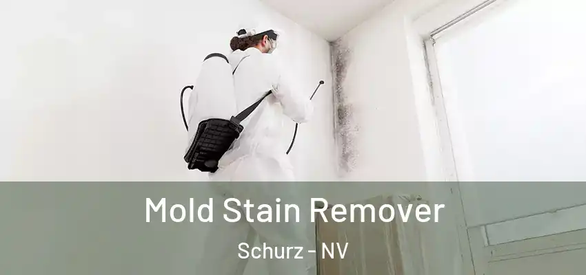 Mold Stain Remover Schurz - NV