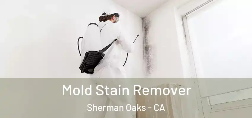 Mold Stain Remover Sherman Oaks - CA