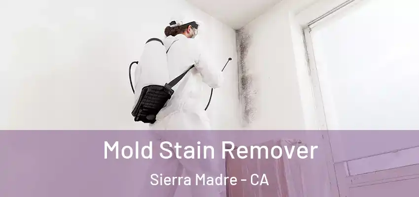 Mold Stain Remover Sierra Madre - CA