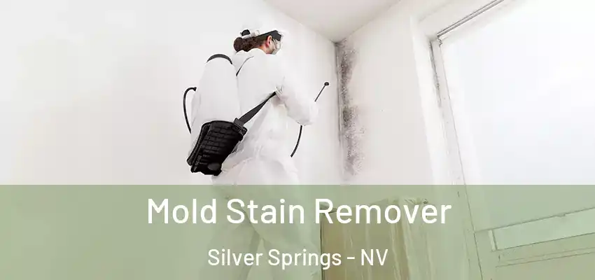  Mold Stain Remover Silver Springs - NV