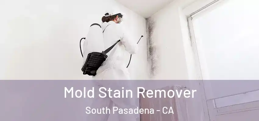 Mold Stain Remover South Pasadena - CA