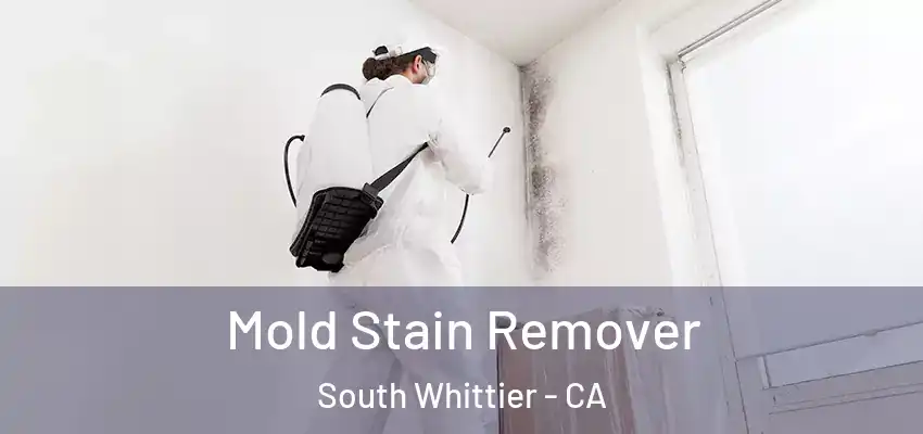  Mold Stain Remover South Whittier - CA