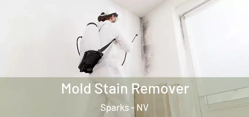  Mold Stain Remover Sparks - NV