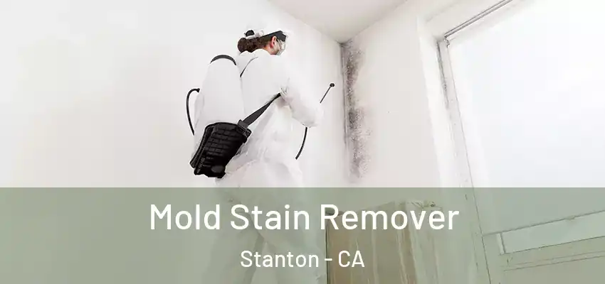  Mold Stain Remover Stanton - CA