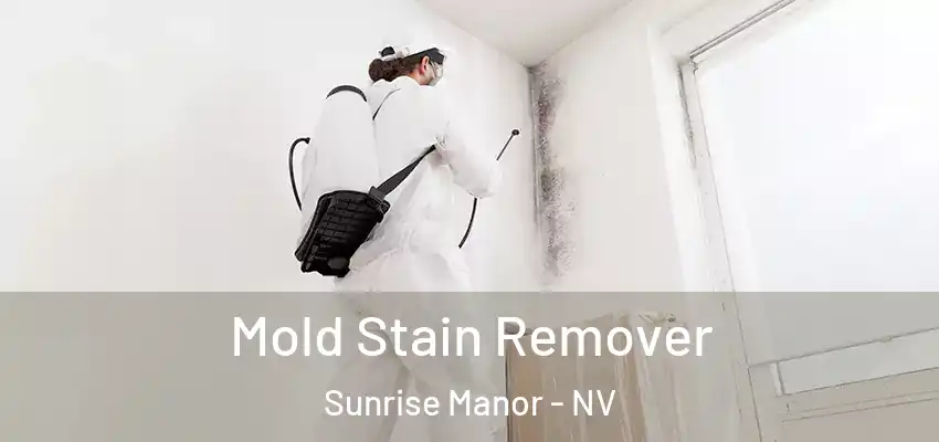  Mold Stain Remover Sunrise Manor - NV