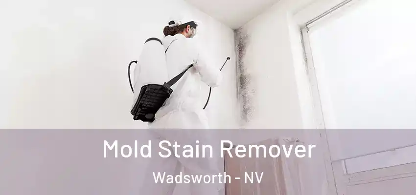  Mold Stain Remover Wadsworth - NV