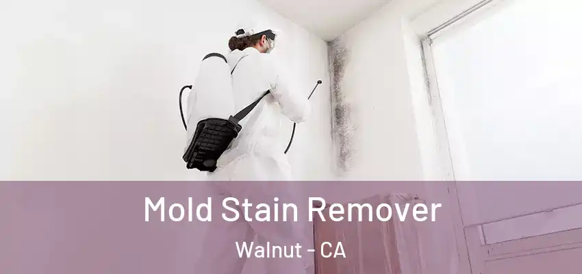 Mold Stain Remover Walnut - CA
