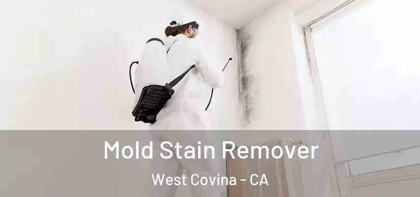  Mold Stain Remover West Covina - CA
