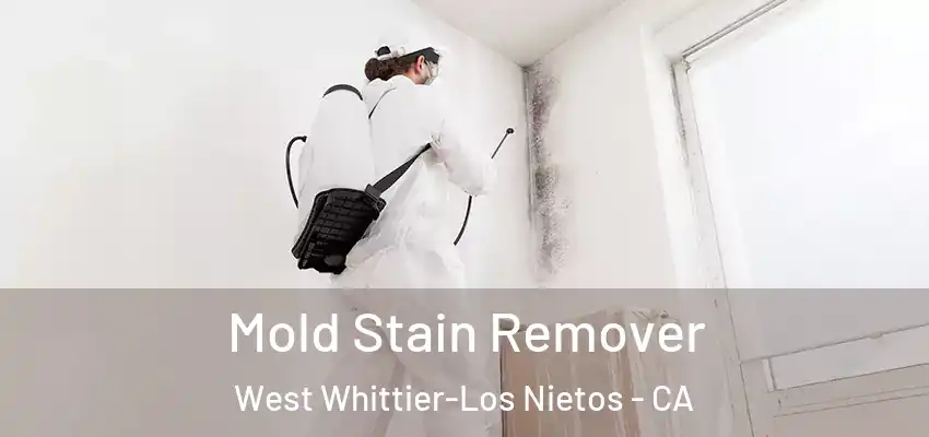  Mold Stain Remover West Whittier-Los Nietos - CA