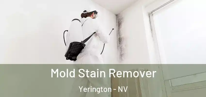  Mold Stain Remover Yerington - NV